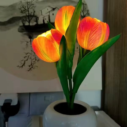 Tulips Lamp